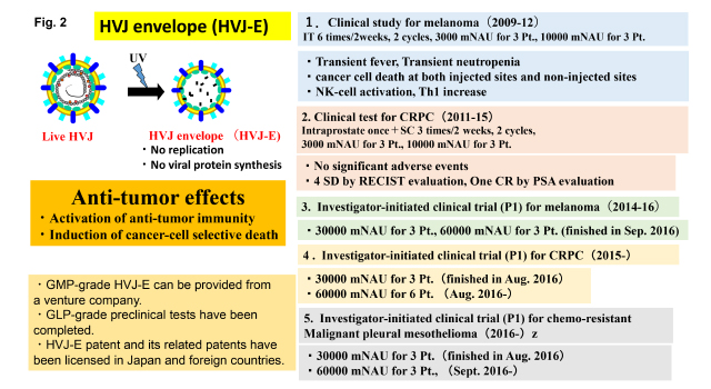 HVJ envelope (HVJ-E)