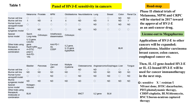 新規免疫治療剤HVJ_図4