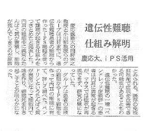 遺伝性難聴の仕組み、iPS細胞により解明へ