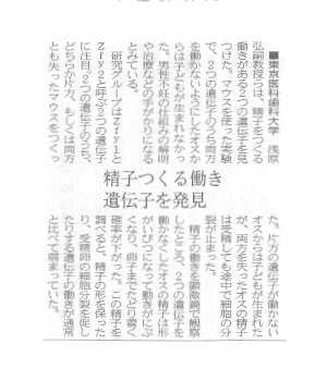 精子をつくる働きがある遺伝子を発見